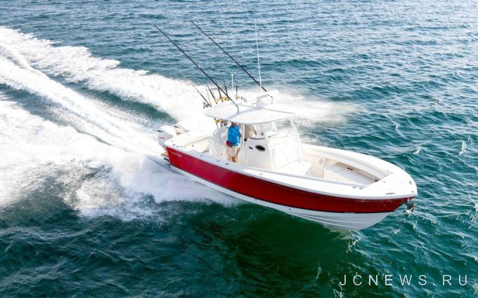 Regulator 31      